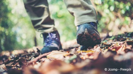 Ochtendwandeling gevolgd door brunch