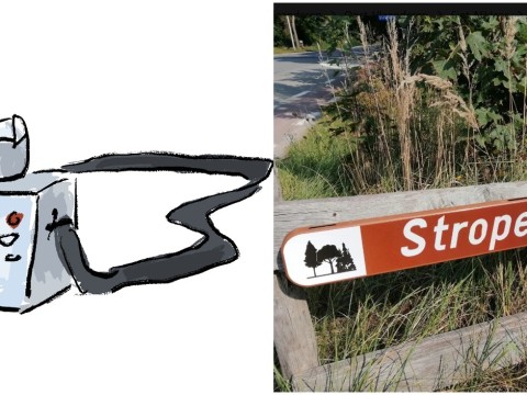 CameraStropersbos.jpg